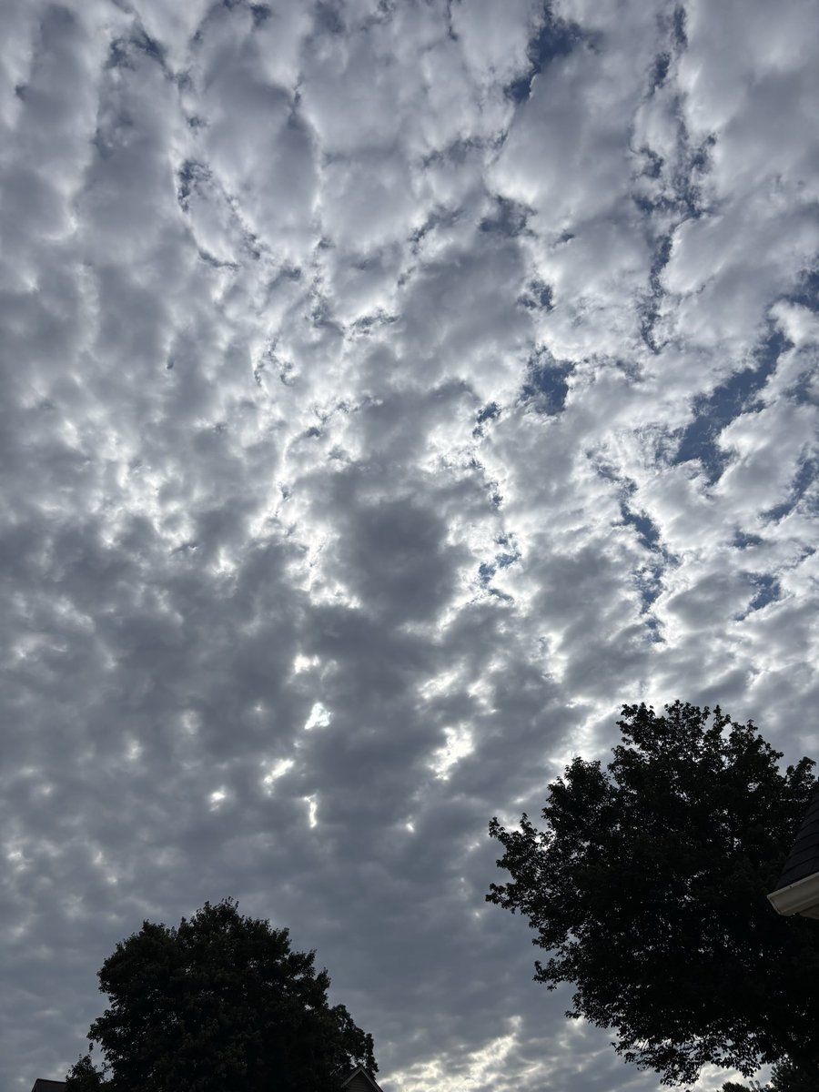 RealSilver1977's tweet photo. @b_gimpl1234 Mother Nature is amazing, but even her artwork would never be able to make this. https://t.co/i1Jb6or8Fj
