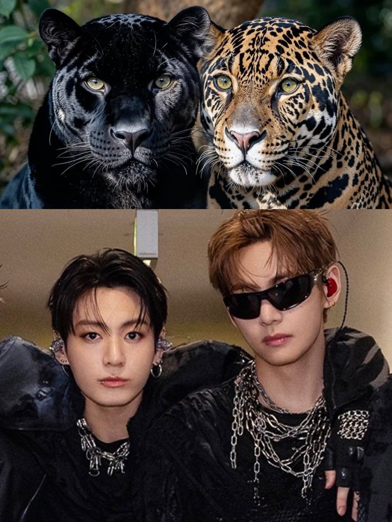 jungkovtae's tweet photo. THEM!! https://t.co/0U2ZRGCfuQ