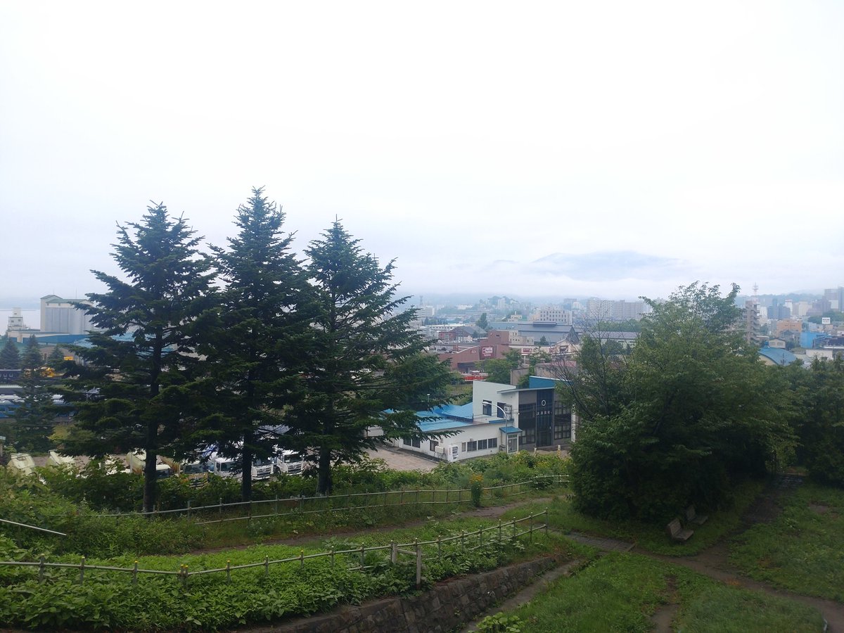 Denhachiro's tweet photo. おは小樽 https://t.co/0m44nOp48B