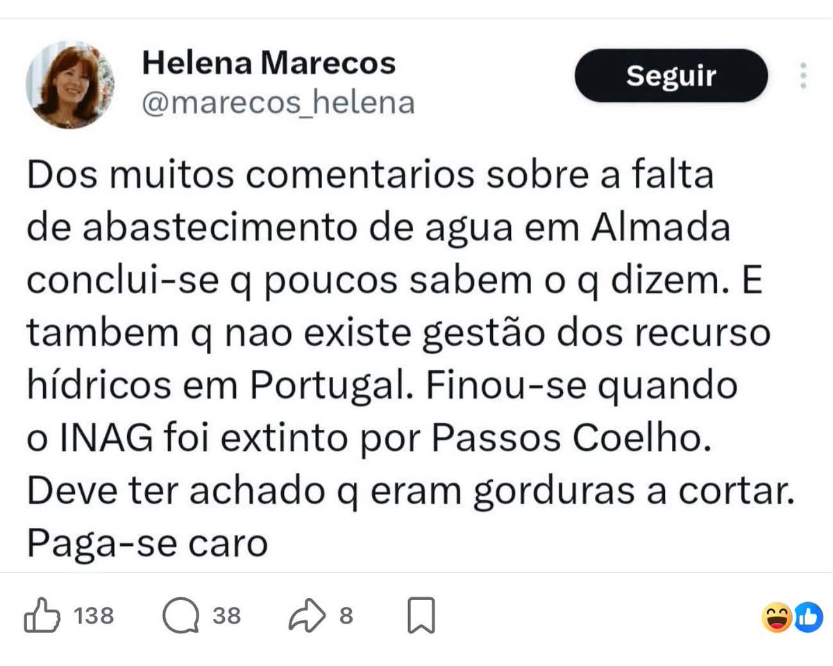 Sofia Afonso Ferreira tweet media