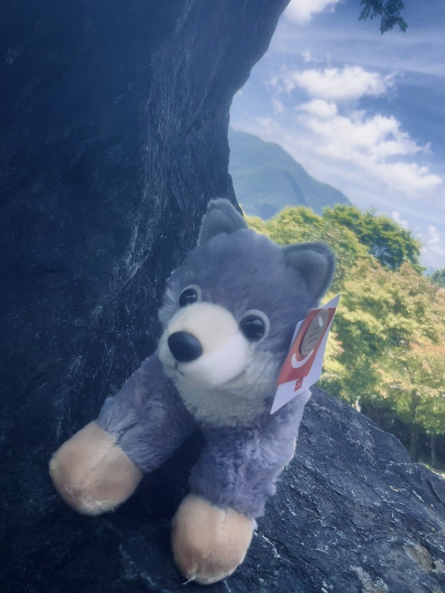 kerotan77's tweet photo. おはようございます🌞
三峯神社のオオカミ様にご挨拶🙏 https://t.co/B2PMjlQYgm