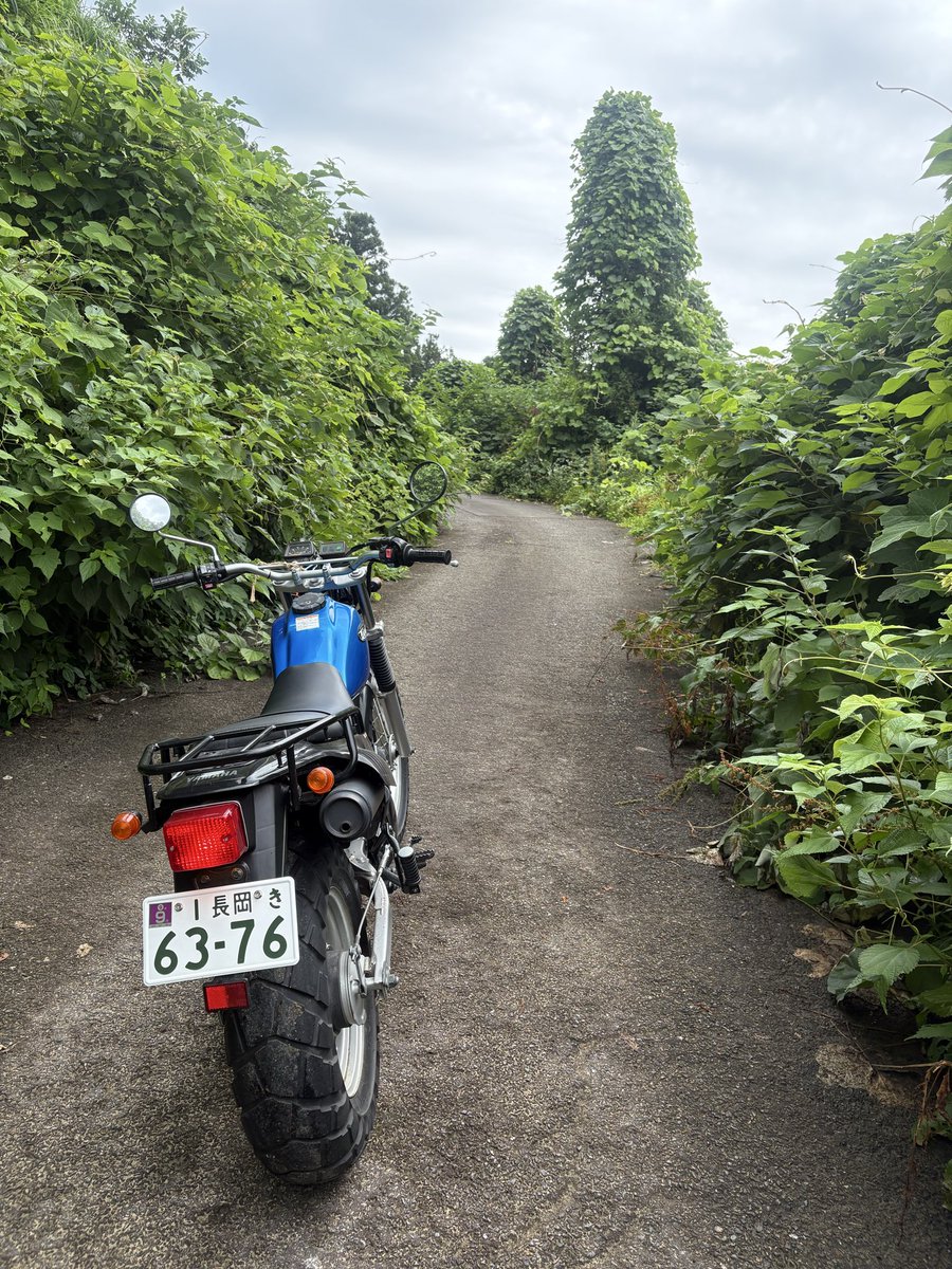 SEIBU60cbr's tweet photo. リベンジ！
今日こそ走破してやりますわガハハ https://t.co/57AnU3wjFo