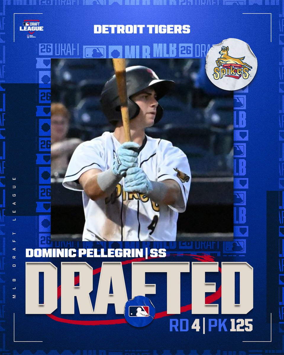 MLB Draft League tweet media