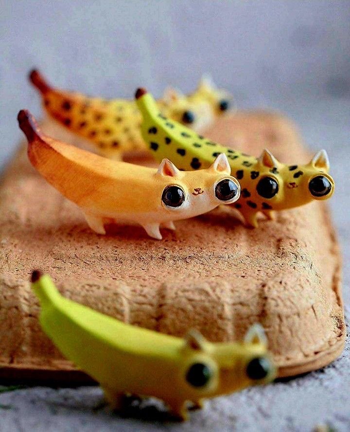 pmamtraveller's tweet photo. "Banana Cat" by artist Anna Nazarenko. https://t.co/3BIIvUcEDy