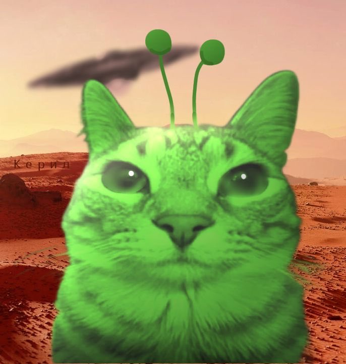 averagereader49's tweet photo. @cryptocupra $ACAT aliencat is here to invade https://t.co/l72GrDcY2f