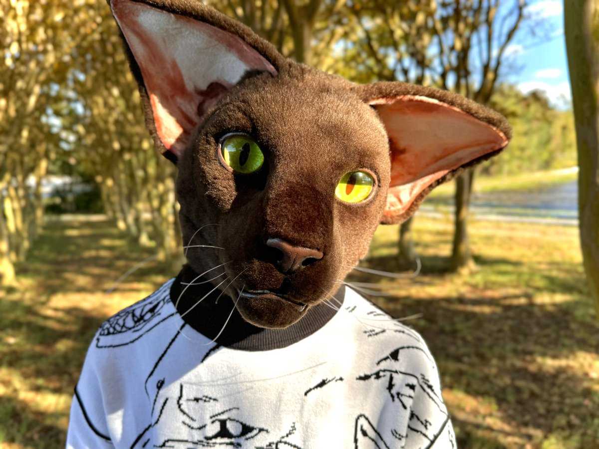 spectresiix's tweet photo. VERY tentatively considering offers on Percy (made by LigrisPrints in 2024)
I will be picky who he goes to as he deserves to be worn n posted,I don’t want him vanishing

Bought for ~$2,000. 3d printed moving jaw base, head only, 3 pieces of art 
#fursuitforsale #fursuitfortrade https://t.co/LrbJo6umLK