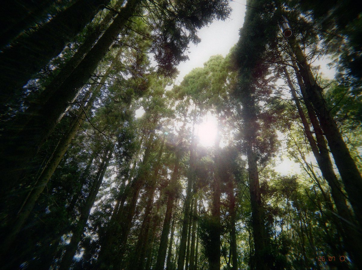 sanroad3103's tweet photo. 森の中で、お湯を沸かすだけでも贅沢な時間。

Flashback ONE35 V2で切り取ると、記録というより「記憶」に近い一枚になる。

#FlashbackONE35V2 #FlashbackCamera #デジタルトイカメラ #ソロキャンプ #キャンプ #アウトドア #写真好きな人と繋がりたい https://t.co/3MESCIEYM0
