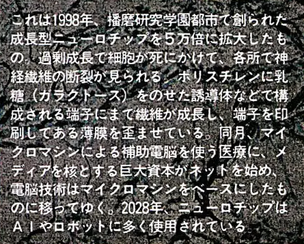 LunarModule7's tweet photo. #攻殻機動隊
成長型ニューロチップって何？BMIで脳と連接する際に自己組織化により接続密度を上げられるというメリットがありそう。可塑性や損傷後の再生もある。一方で配線パターンを決定論的に固定化できないので、ハードの成長後にソフトでマッピング・較正するはず。現状のBMIも同じ発想。 https://t.co/KURx5Ct2SP