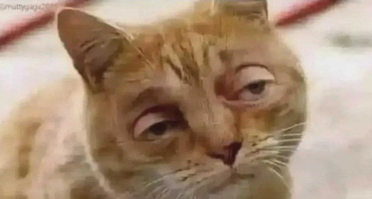 Bila Cracked tweet media