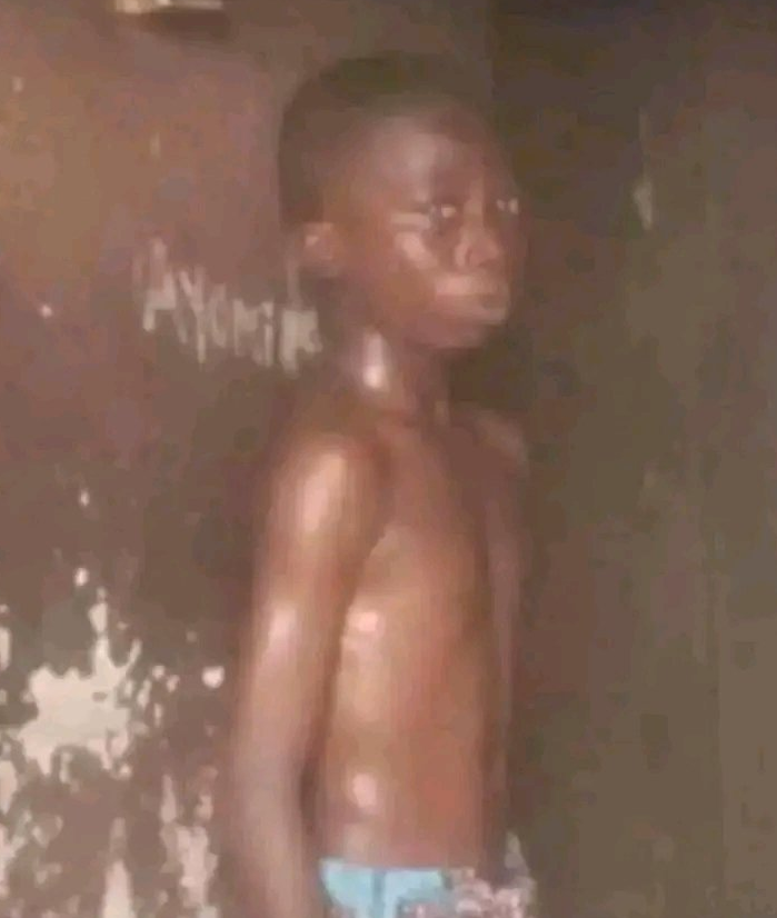Adeyeye wareez tweet media