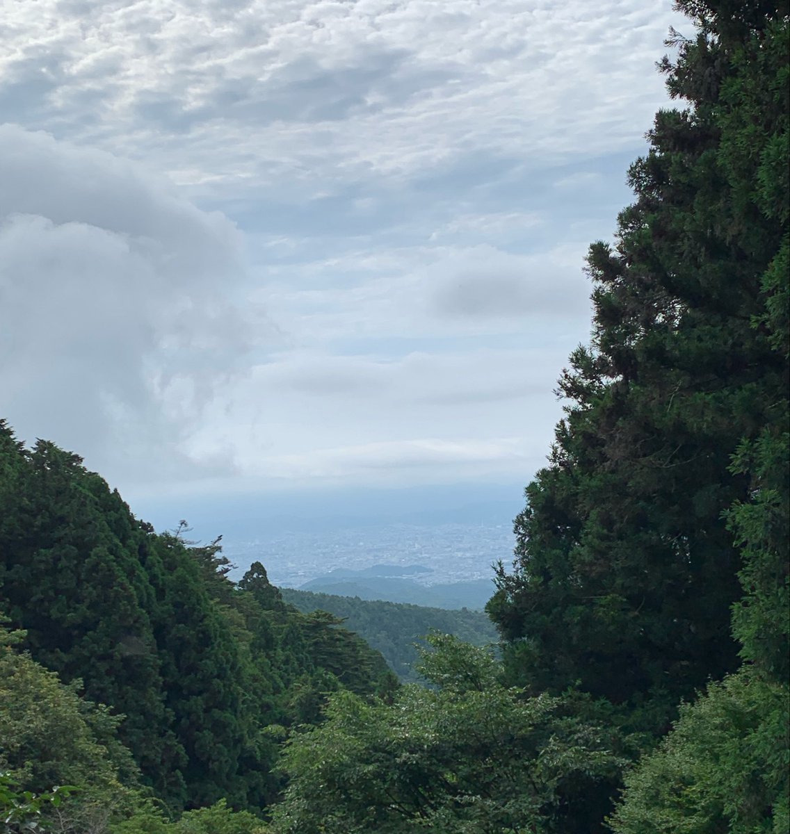 月輪寺【公式】 tweet media