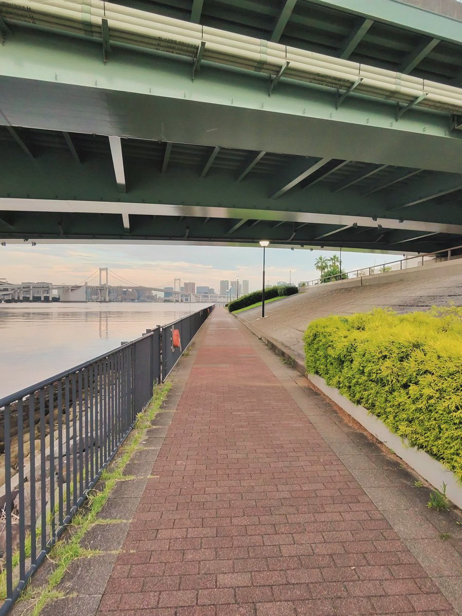 yatz_official's tweet photo. おはよう☀深夜3:30起きた,豊洲ぐるり公園でロードワーク.今から仕事,午前便を終わらせて昼飯食べて1.2時間お昼寝しよう💤
YATZ(やっつ)公式チャンネル
https://t.co/8KlCoY53xU
#yatz #やっつ #ANANTS #あんあんつ https://t.co/TKPssYz5ca
