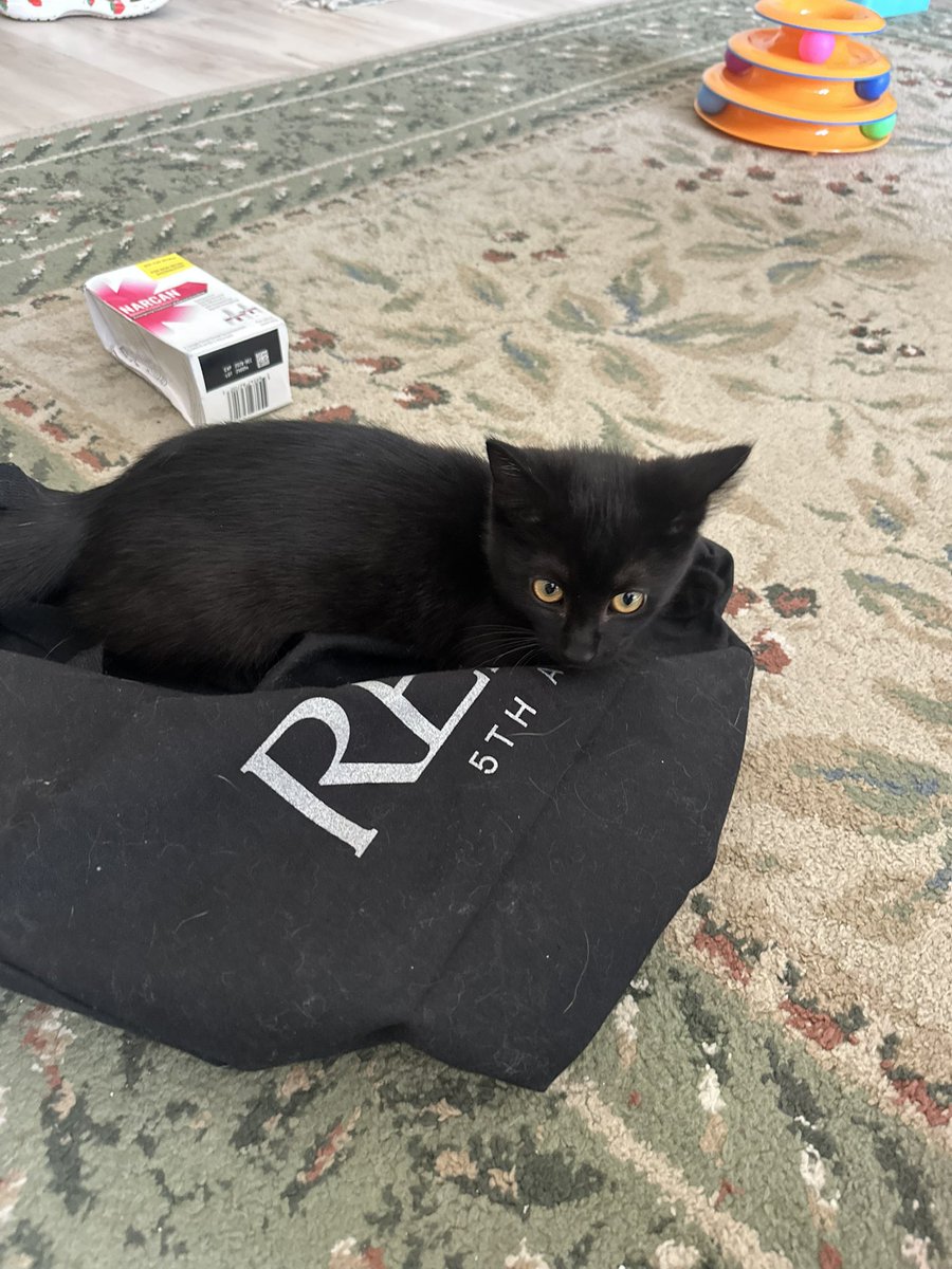 crankchella's tweet photo. have i introduced you guys to my son https://t.co/1xFG1855C3