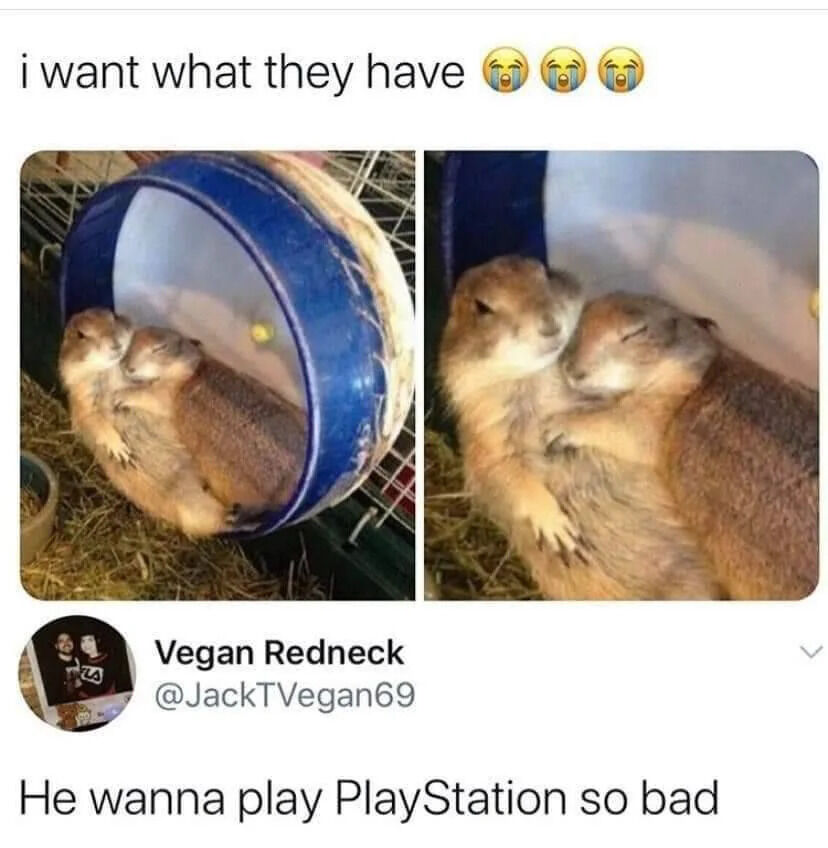 WholesomeMeme's tweet photo. https://t.co/OThtg5Xk4I