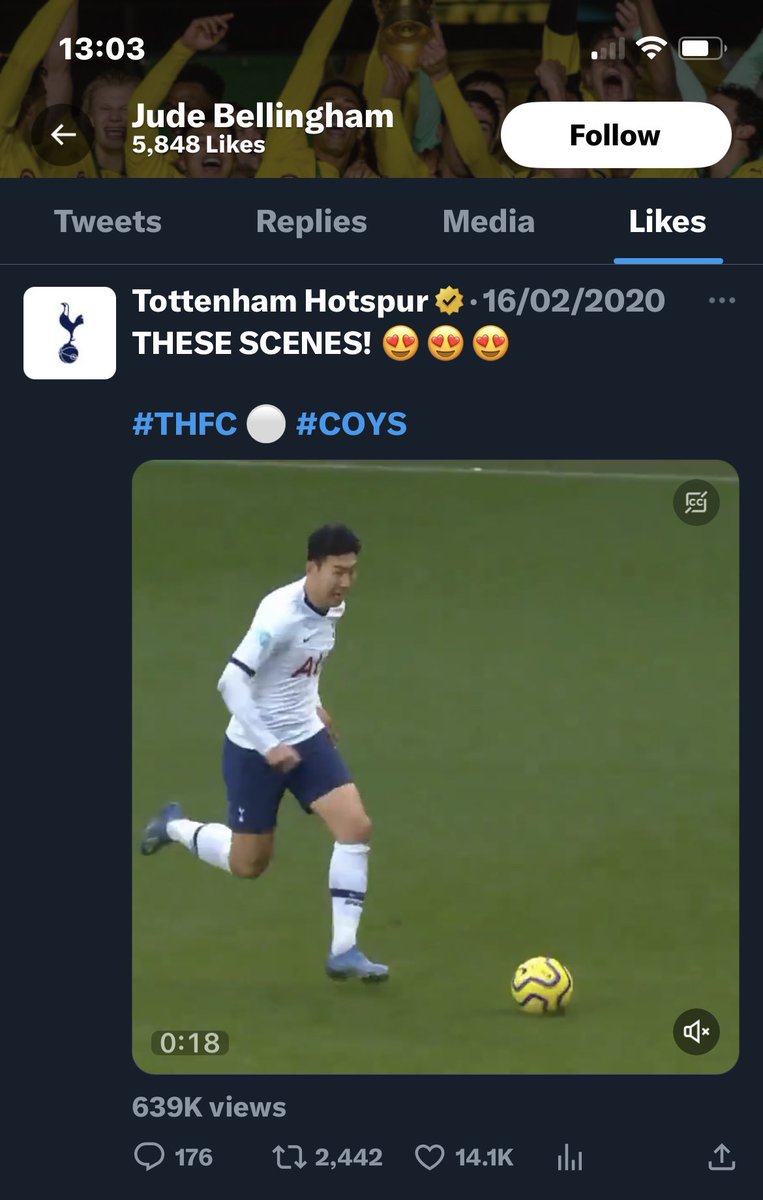 HotspurReports. tweet media