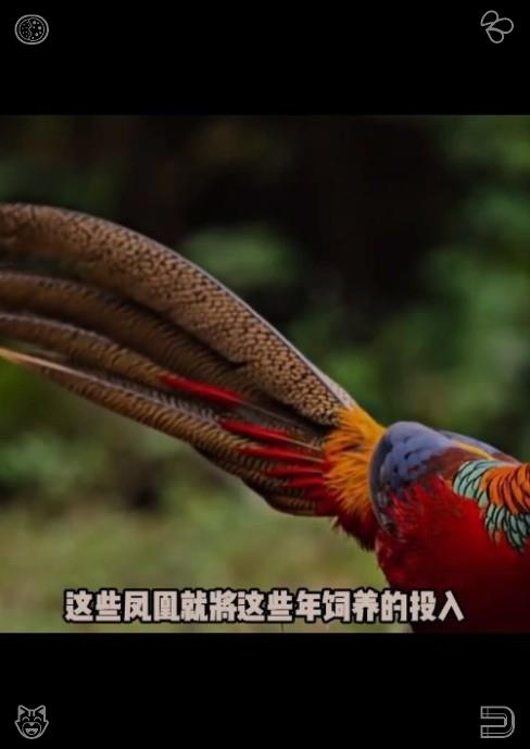 imanihsani's tweet photo. 让希望成为每个崭新明亮日子的组成部分。Clara 怀里的小女孩伸手抚摸 Lila 的毛发，Lila 发出呼噜声并依偎着那只小手。铃声再次响起，又一位熟客走了进来，手里提着一袋猫玩具，他每周都会来这里陪猫咪玩耍。 https://t.co/LHUvbyrD8e