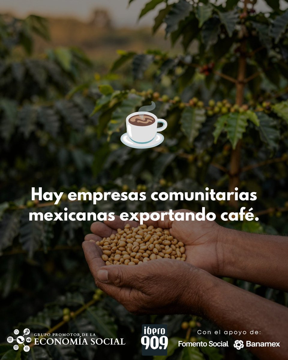 FrenteaPobreza's tweet photo. Las empresas comunitarias: innovan, responden a los cambios del mercado y sostienen a las personas que las integran, sus familias y comunidades.
En #ECOSS, Platicando de #EmpresasComunitarias con @mariocampos cuenta cómo nacen, funcionan y se sostienen estas empresas. https://t.co/xA7TpZNoFE