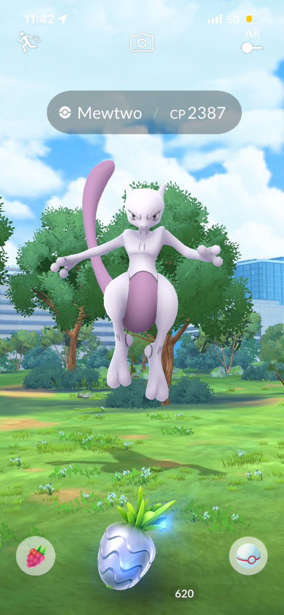 chattychatot05's tweet photo. Let’s GOOOOOO🥳
#PokemonGO #ポケモンGO https://t.co/bgg33SeI0O