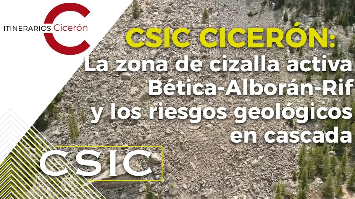 CSIC tweet media