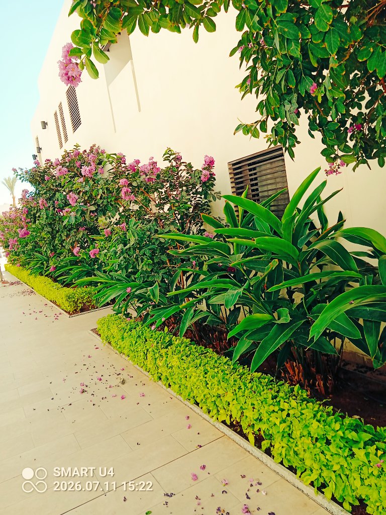 SnarSalih's tweet photo. الفندق https://t.co/J9eXE5D7ww