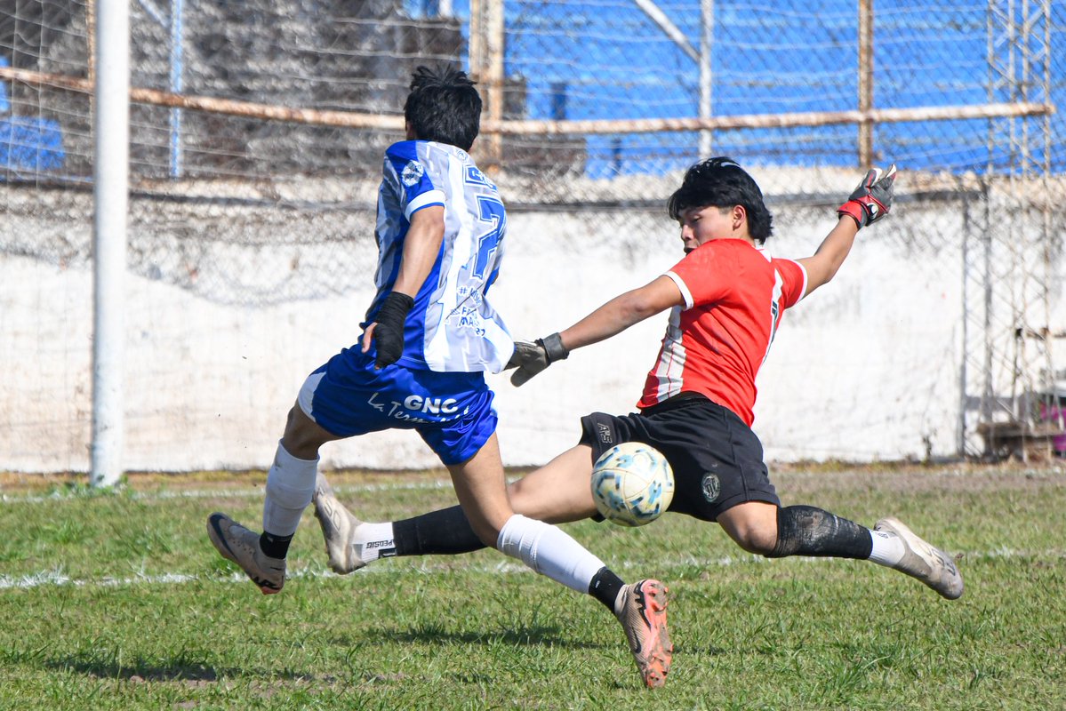 delClubTalleres's tweet photo. #LigaJujeña • #Inferiores

#Sub17 | Nuestro equipo no pudo disputar el encuentro frente a El Cruce debido a la ausencia del conjunto visitante.

#Sub19 | Nuestro equipo igualó ante El Cruce por 1 - 1 en condición de local.

⚽ Esteban Bravo.

#VamosLosPibes 🔵 https://t.co/Trq2pu2LK5