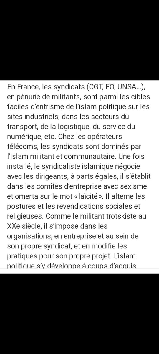 Bambou tweet media