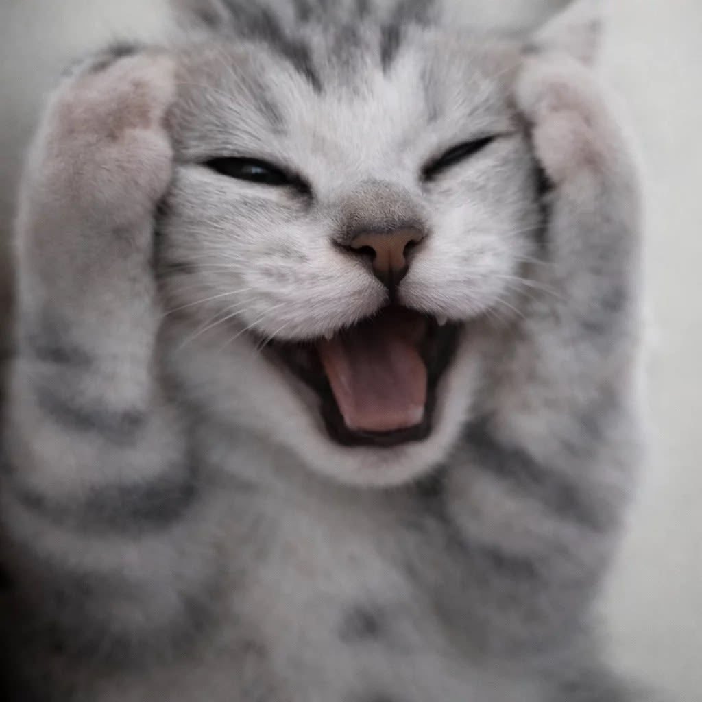 마이 tweet media