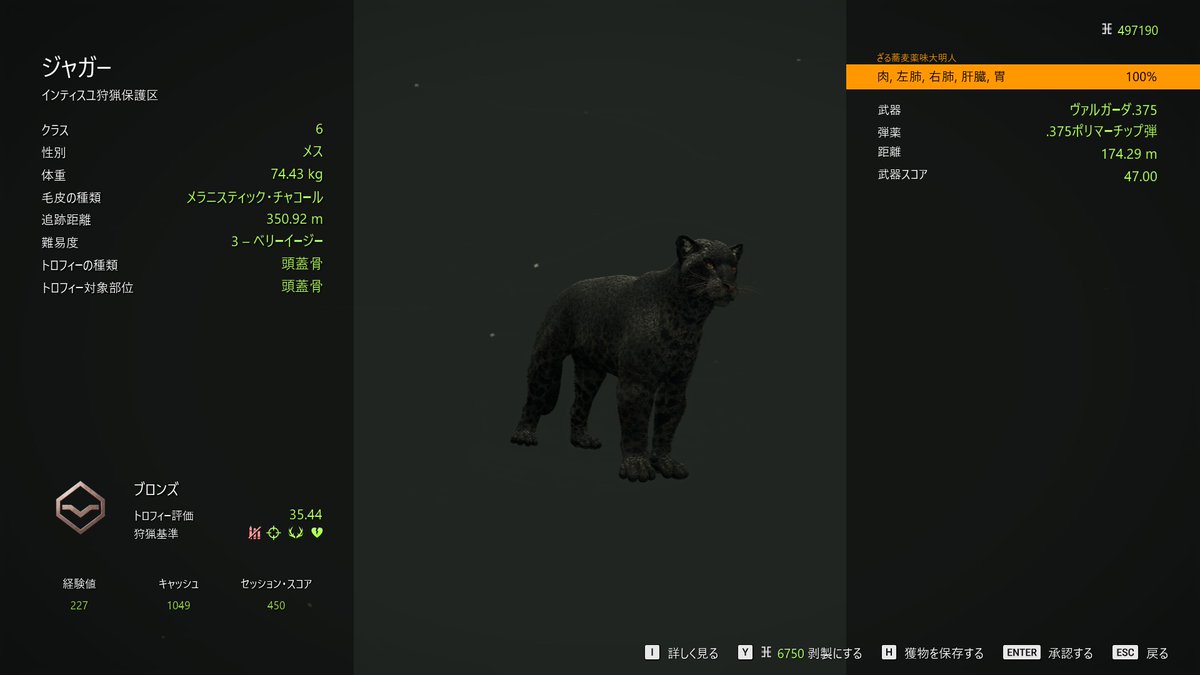 tackey_human's tweet photo. ジャガーのメラニスティック・チャコール二頭とダイアモンド一頭🐯
このままG1も狙っていきたいね！！
ヘラジカのG1は全然でないし、
ジャガーで息抜きしようかなー
四枚目は左がメラニスティックで右がメラニスティック・チャコールです🐯
#theHunter #thehuntercotw #ジャガー https://t.co/KSvBcVVroI