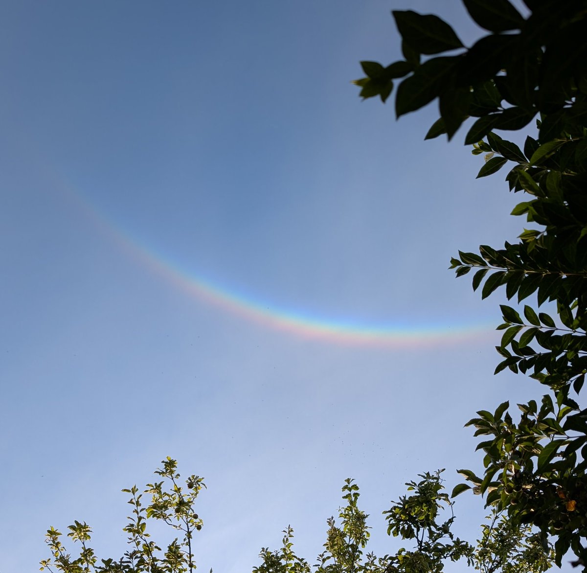 Su_Martin_'s tweet photo. Sat out in the garden cooking down &amp; this beautiful Circumzenithal arc is taking centre stage ❤️ 🌈

#circumzenithal
#weather 
#Yorkshire
@Hudsonweather 
@StormHour https://t.co/cyeDAYw4qC