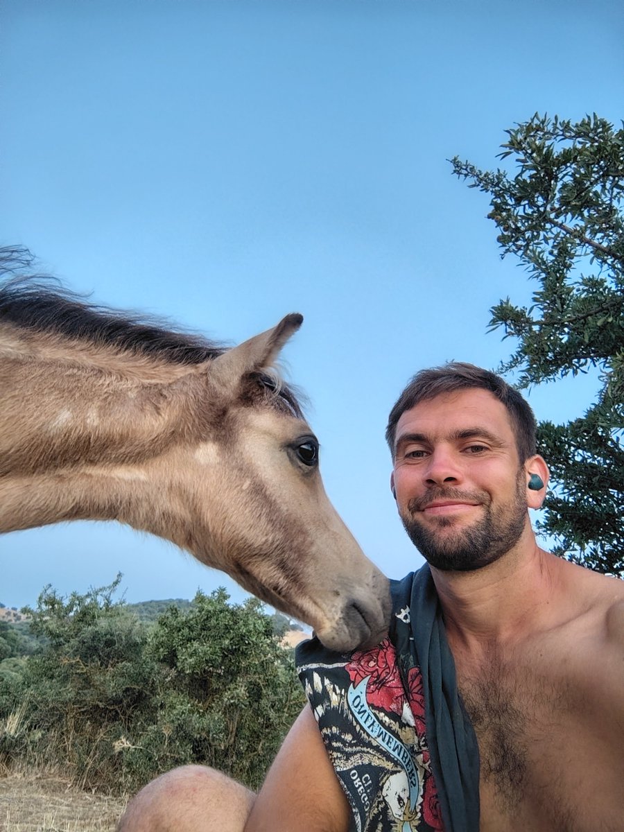 FarmerBoy🐮🐖🐏🐐🐑🐎 tweet media
