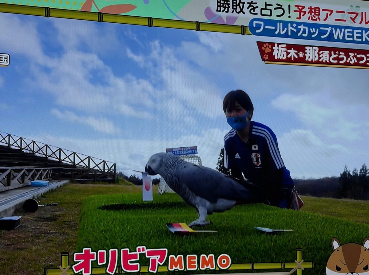 CoconutMr's tweet photo. 一人暮らししたい気持ちはありつつ、実際に始めたらまともに生活しないんだろうなって思うなど。今日の食事がコンビニのサンドイッチ1つな時点でお察し https://t.co/CWnp9lYqF5