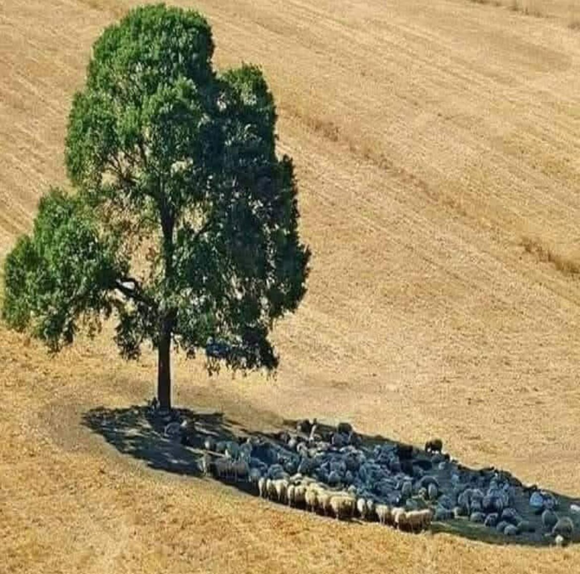 historical4545's tweet photo. Yenildi içildi, gülündü eğlenildii...hesap ve bulaşıklar ev sahibine kilitlendi ve gidildii...yaz misafirliğinin özeti. https://t.co/qjuxfsdOB0