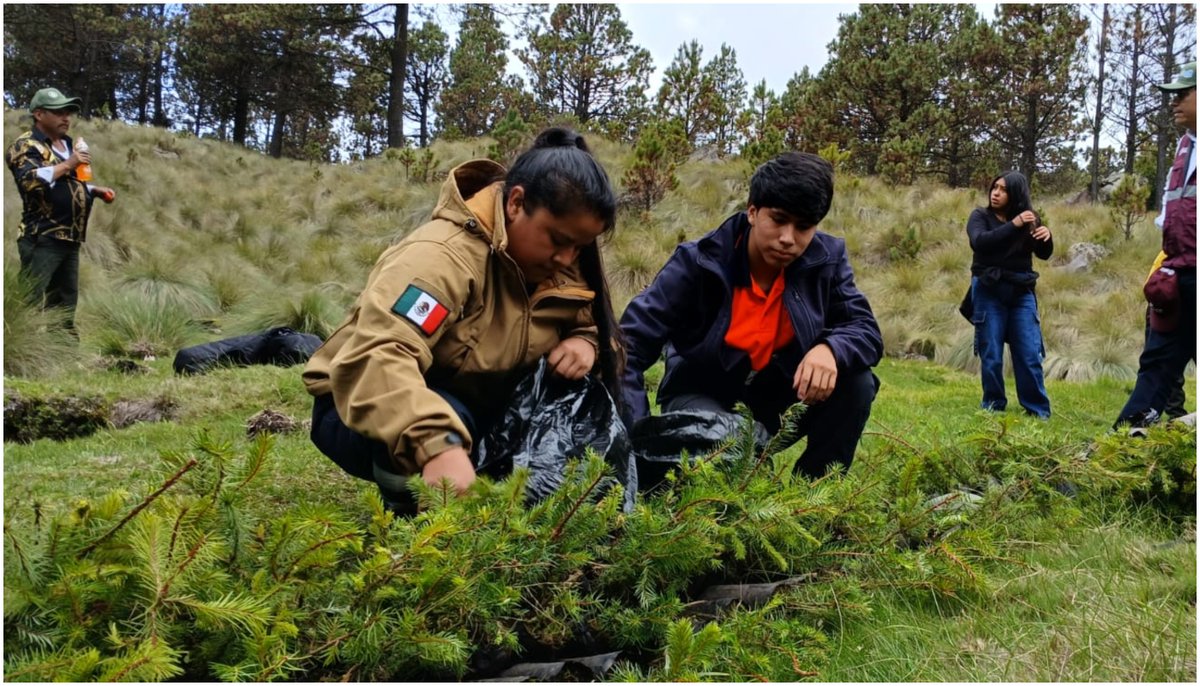 MasNoticiasRTV's tweet photo. #Conafor celebra 25 años con #reforestación en las faldas del #PicoDeOrizaba
✍️Diana Bustamante
Más información 👇
https://t.co/9S1gL4dezT https://t.co/c3BwBZzmvC