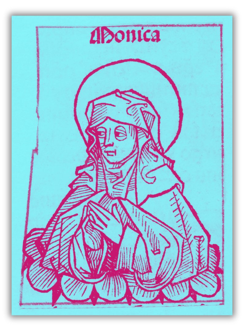 bonifacegroup's tweet photo. New post on the blog:

"St. Monica on Wife Beating"

You've got to love how Luther goes off on these rabbit trails. One of the best parts about reading (or listening to) the Church Postil, honestly. https://t.co/p8y7pPDwh1