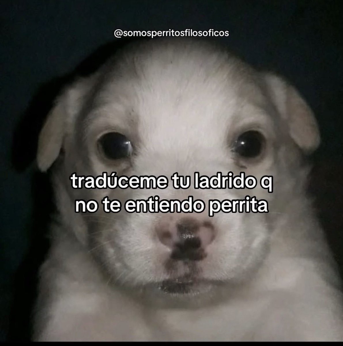 yulyrr28's tweet photo. @GabrielRiv37654 @sevistebienn https://t.co/E0v8UKLDzn