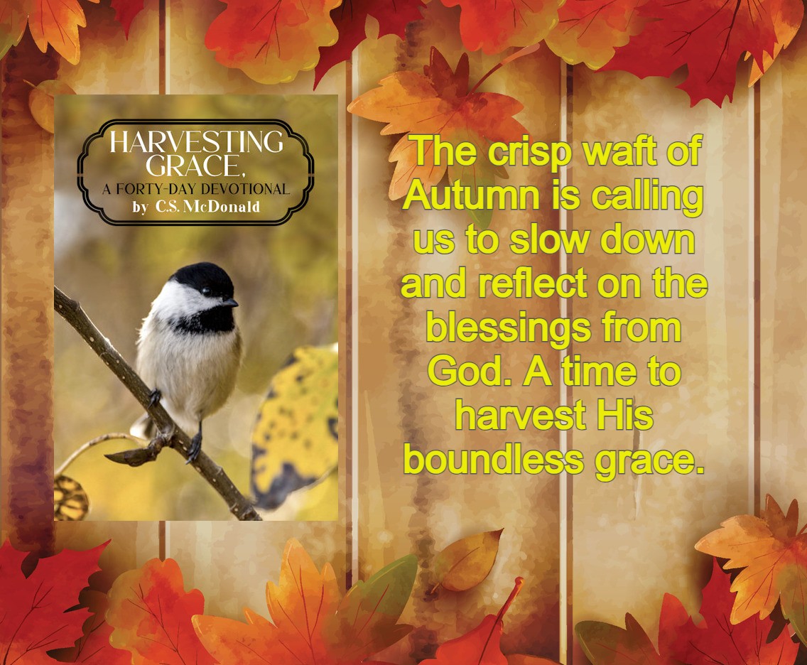 CSMcDonald7's tweet photo. WOW! HARVESTING GRACE, A Forty-Day Devotional, is #55 in the kindle store! The e-book is available at the introductory price of #99cents. 
link> https://t.co/5yi8ZEM3bh
Available with #kindleunlimited
The #paperback will drop on AUGUST 6th!
#ChristianLiving #FaithJourney https://t.co/dv4H1u2qrW