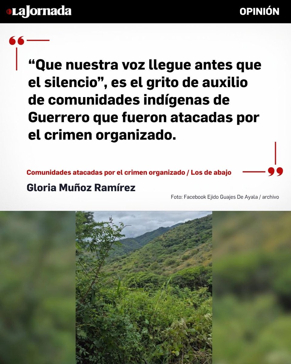 lajornadaonline's tweet photo. #LosDeAbajo, columna de Gloria Muñoz Ramírez.

Comunidades atacadas por el crimen organizado | Como en otras regiones del estado de Guerrero, de acuerdo con los testimonios de pobladores del ejido Los Guajes de Ayala, la ofensiva (por parte del crimen organizado) fue con drones y explosivos. Los hechos sucedieron el miércoles 8 de julio en el poblado El Pescado.

En un comunicado, las comunidades alertaron por la situación de extrema vulnerabilidad en la que se encuentran los habitantes de la sierra, donde desde hace semanas se han registrado ataques atribuidos a grupos de la delincuencia organizada y se reportan heridos y familias desplazadas, además de que comunidades enteras viven atemorizadas.
https://t.co/CQExRbGMGB