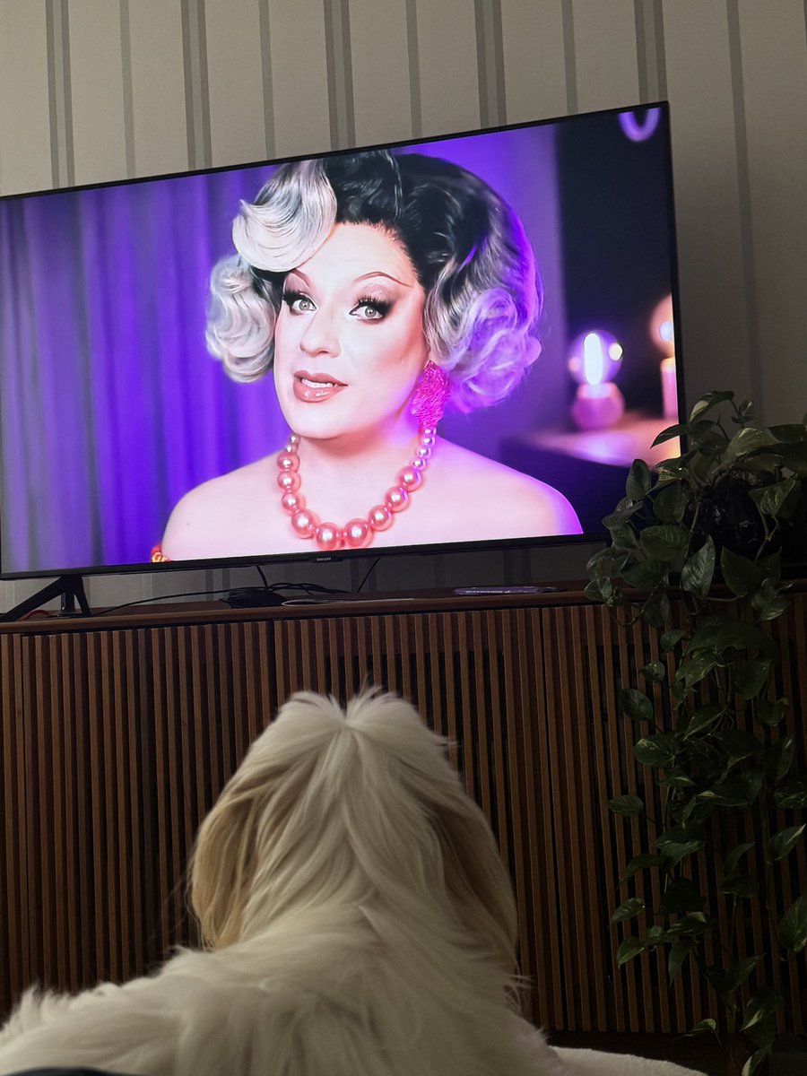 edaiguigafe's tweet photo. Aqui em casa até a Lilly não perde um vídeo dos conselhos da vovózinha  @Lorelay_Fox ❤️ https://t.co/QYMDayiHei