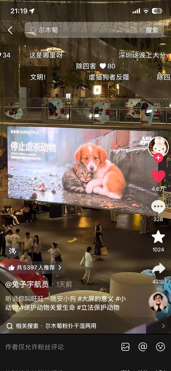 linezzess's tweet photo. A stray mother dog named Wang Wang gave birth on June 14 in Jieyang, Guangdong, China.
Only 14 days later, on June 28, Wang Wang and her three newborn puppies reportedly became victims of an alleged animal cruelty case that has shocked countless people. https://t.co/subm9OjIyV