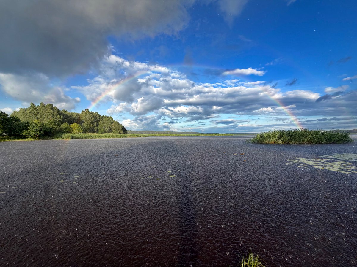 Gints_photo's tweet photo. Šovakar kad lietus līst stipri... 11.07.2026 #jūlijs2026 #photography #latvia #lv #landscape #latvianature #baltic #visitlatvia #visitbaltic #travel #nature #jugla
@MeteoLatvia @laikpstakli @meteolapa @LatvianNature @LVGMC_Meteo
@StarSpaceLV @boms_tricis https://t.co/eQebUdOGkZ