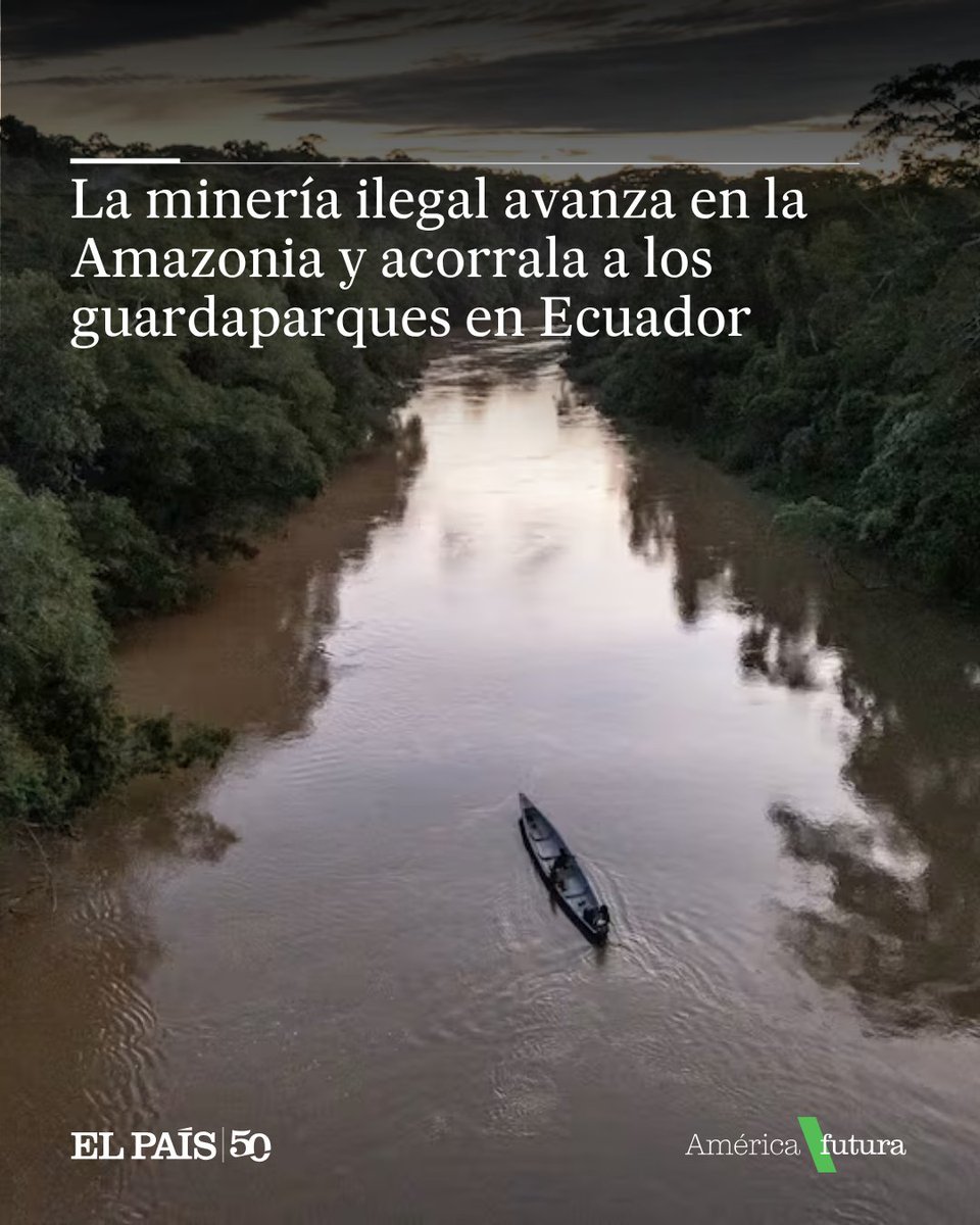 ElPaisAmericaCo's tweet photo. Al menos siete áreas protegidas en este ecosistema registran focos de extractivismo de oro. Quienes velan por la conservación de estas zonas denuncian amenazas y presencia de grupos armados

🔗 https://t.co/2X85lwvGv1 https://t.co/XU4dYBcnZL