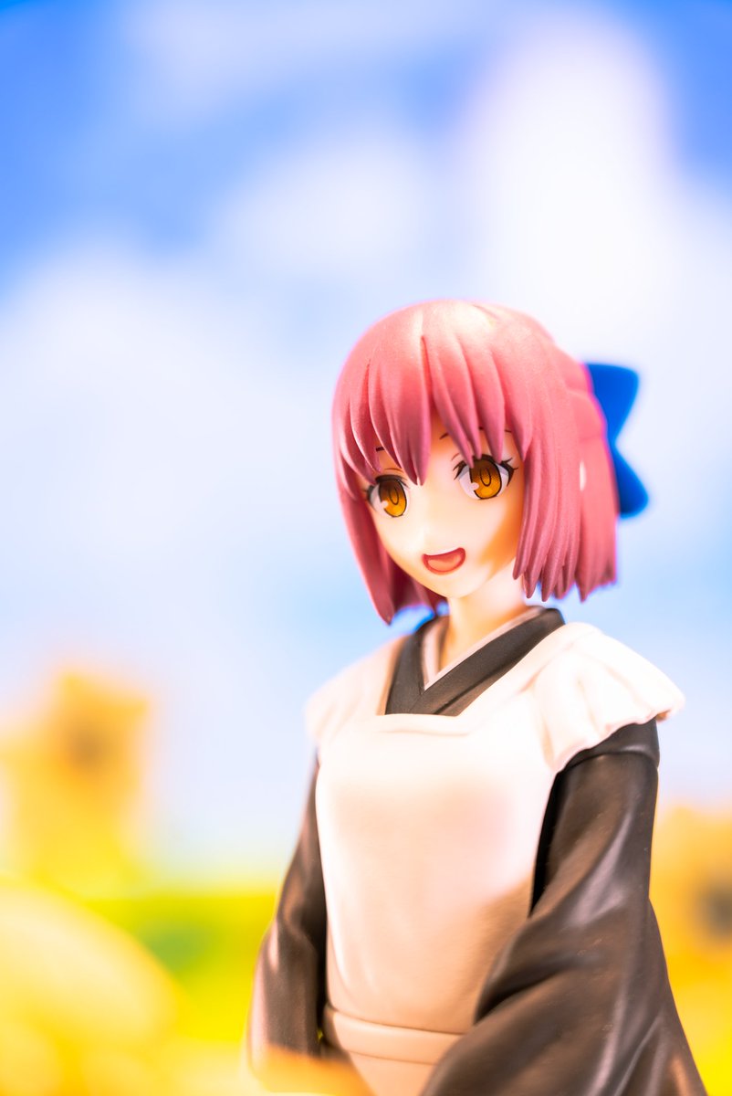 aaronfigures_'s tweet photo. #tsukihime https://t.co/zUcrYFgp73