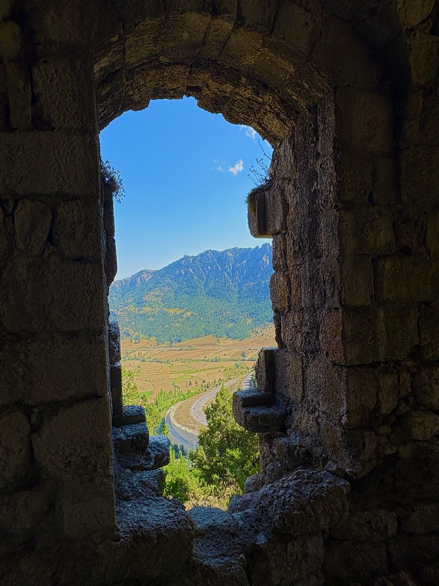 cansevermavisi's tweet photo. Pinnacle…
#day #dreamer #historicalcastle #july https://t.co/UybjwUdeic