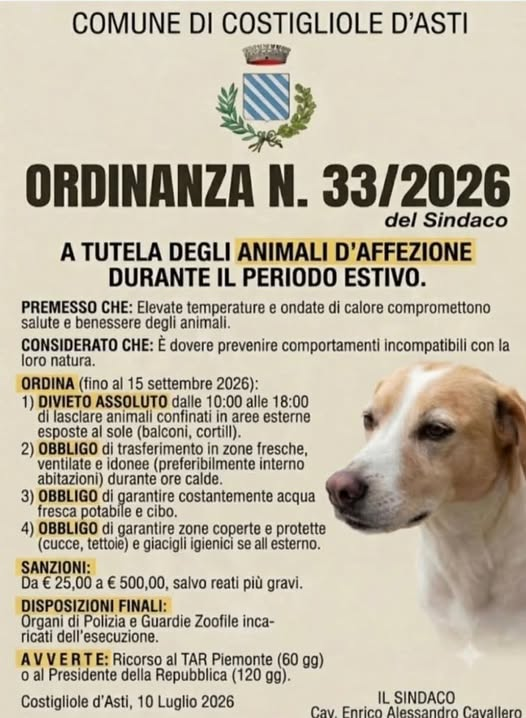 annamariamoscar's tweet photo. Felice che i sindaci si stiano svegliando https://t.co/yW7EV3ryir