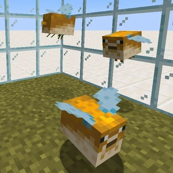 Captain Cube tweet media