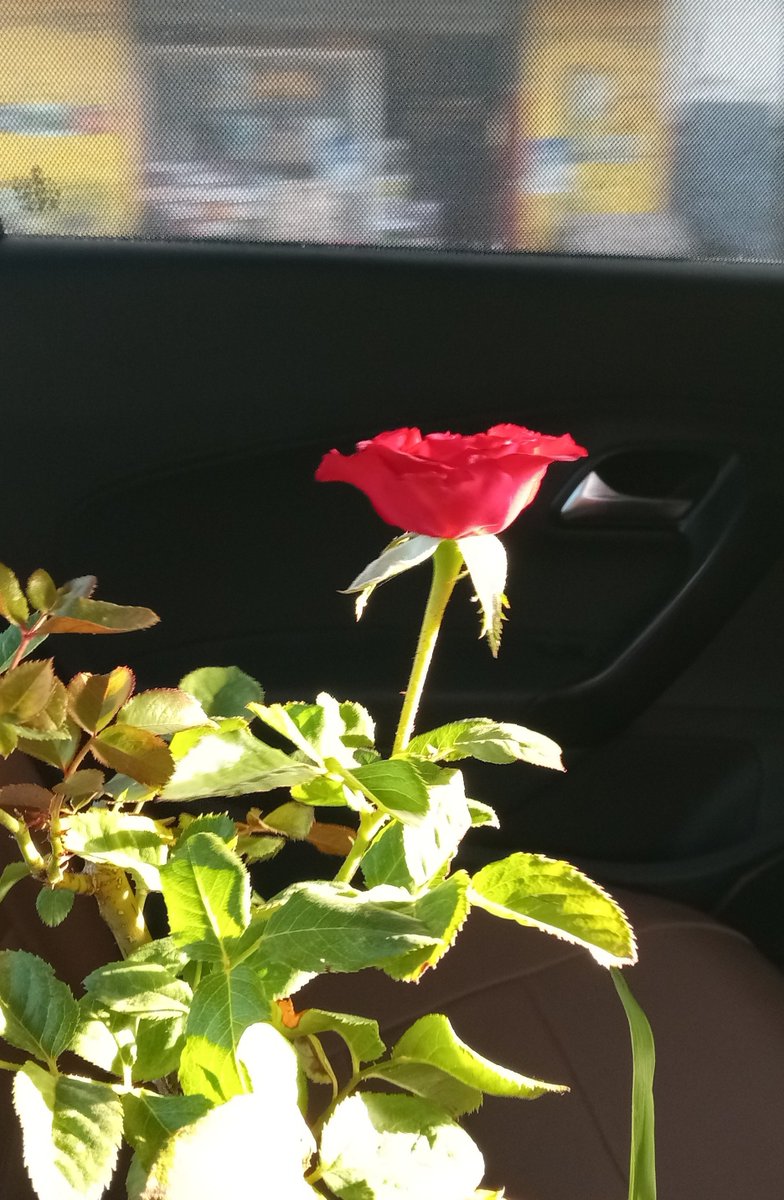 almaha_l1's tweet photo. Photo Of The Day https://t.co/goC9ZBN9NN