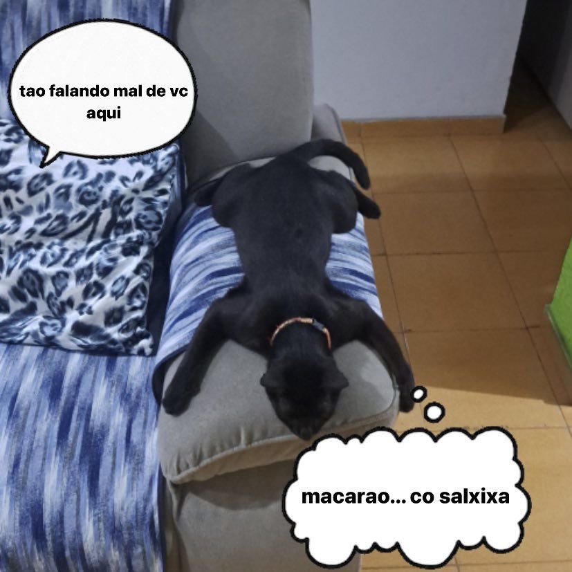 shitpostverdade's tweet photo. https://t.co/D99QlFZP9t