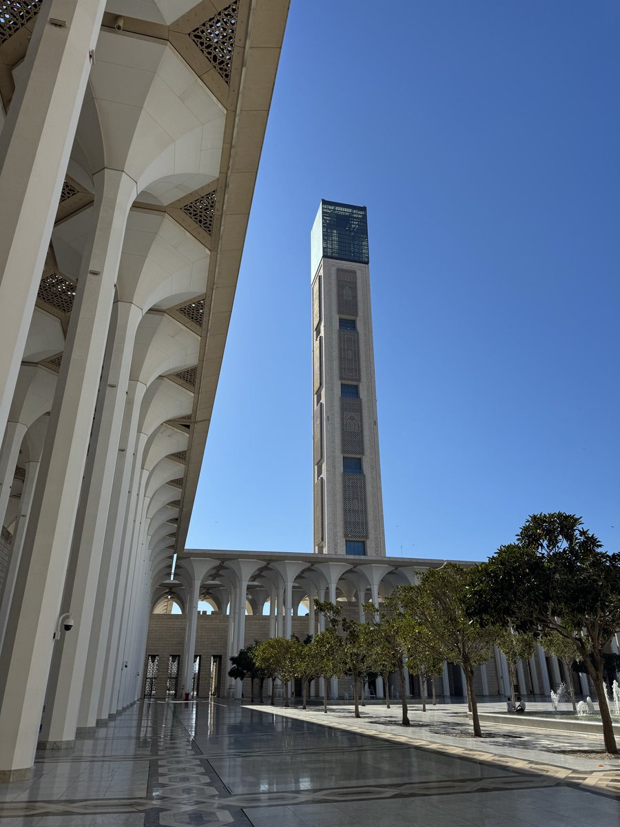 _adl213's tweet photo. Je passe tellement mes meilleurs vacances à Alger, c’est tellement beau 🇩🇿🇩🇿🇩🇿🤍 https://t.co/3pDyeE7i9M