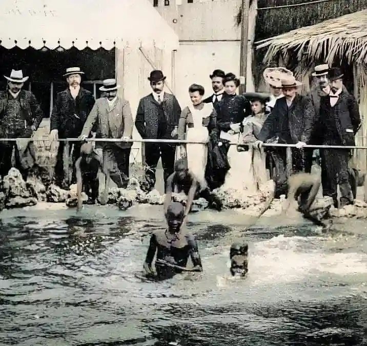 United_Africanz's tweet photo. Human Zoo in paris, 1905.

White Americans &amp; Europeans used Africans to create "Human Zoos" in cities like Paris, Hamburg, Antwerp, Barcelona, London, Milan, Warsaw, St Louis and New York City. 

🥹😢💔 https://t.co/PRaB5s0Zk8