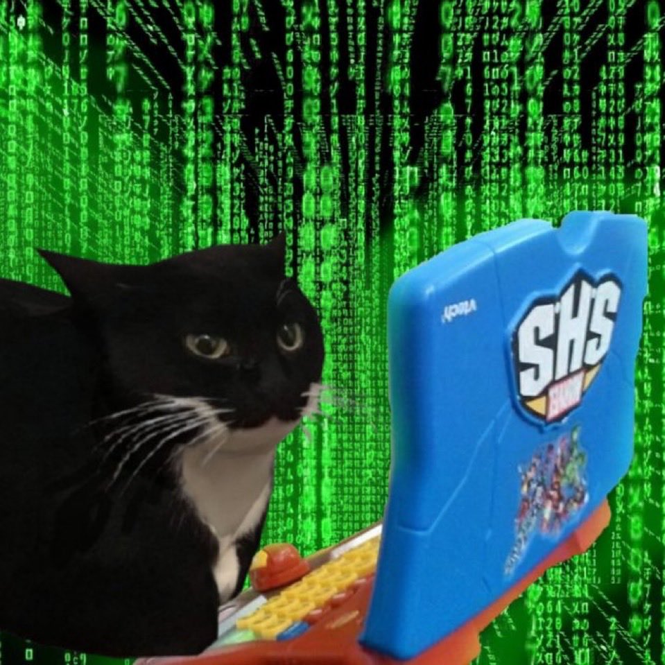 Maxwell the Cat tweet media